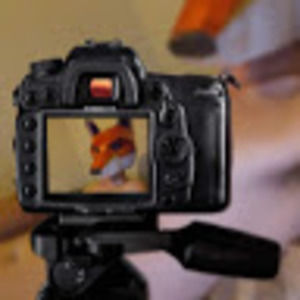 Meet your Posher, Dandy